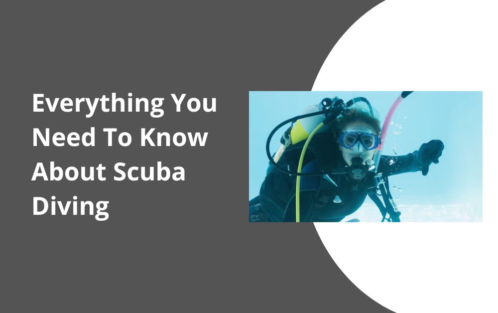 Everything You Need To Know About Scuba Diving