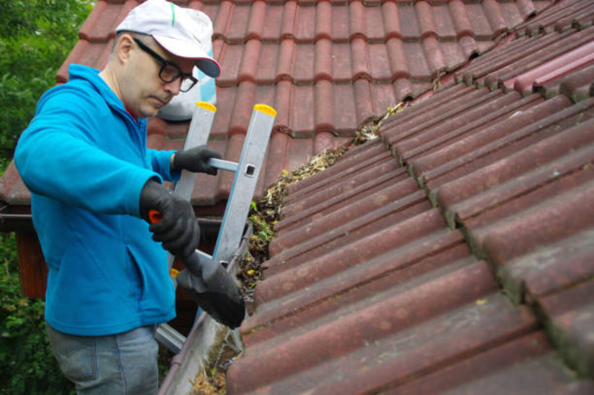 10 Reasons Why Regular Gutter Cleaning is Important