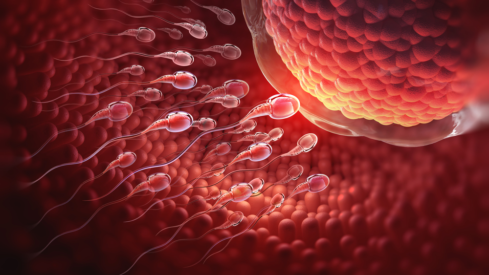 ivf treatment - sperm flow image