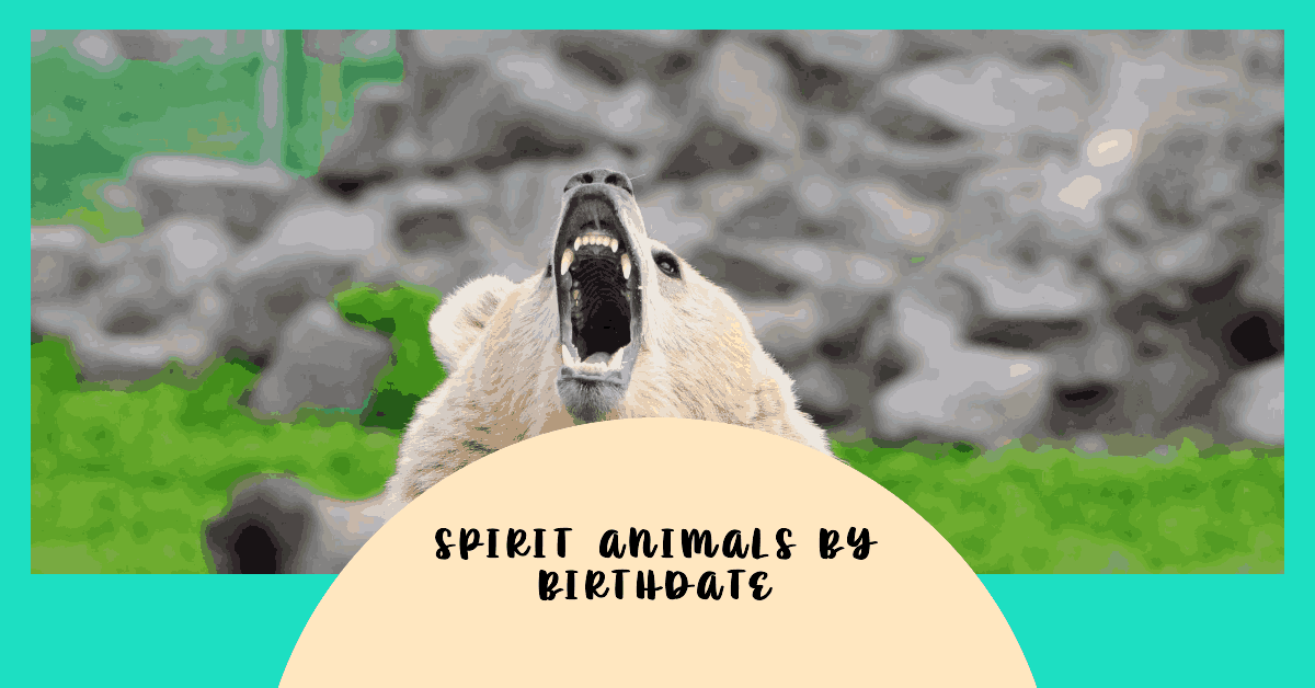 Spirit Animals by Birthdate