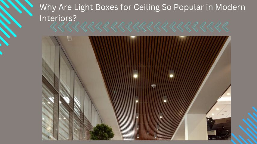 Why Are Light Boxes for Ceiling So Popular in Modern Interiors?