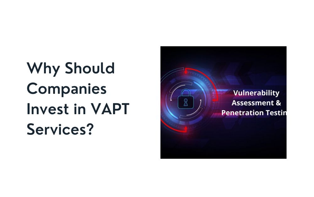 Why Should Companies Invest in VAPT Services