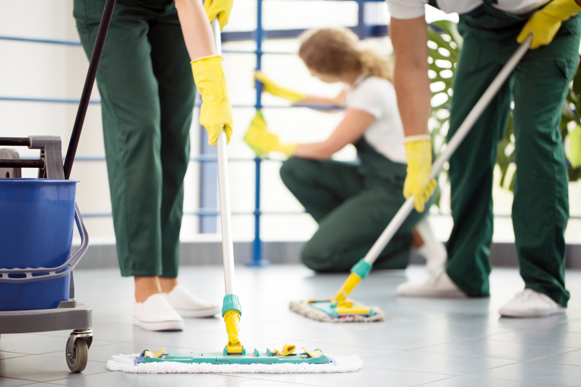 a group of commercial cleaning experts in the floor with mop heads