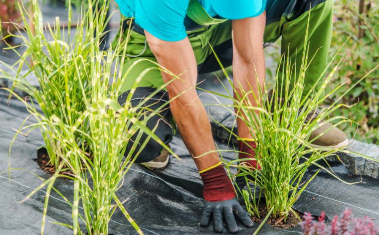 Weed Barrier Fabric