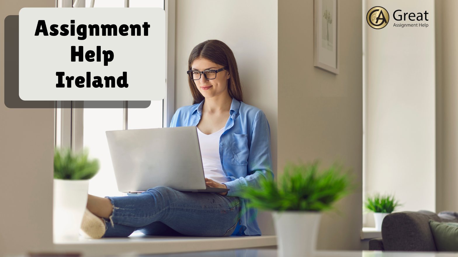 Online Assignment Help