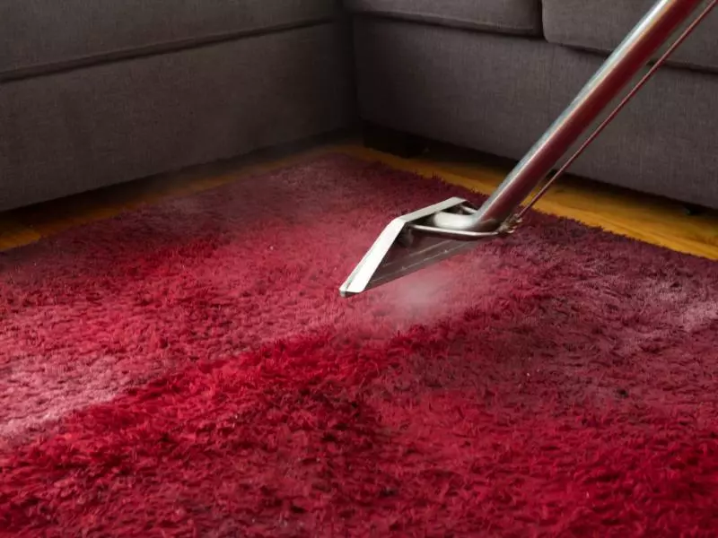 Deep Carpet Cleaning for Homes in Gladesville