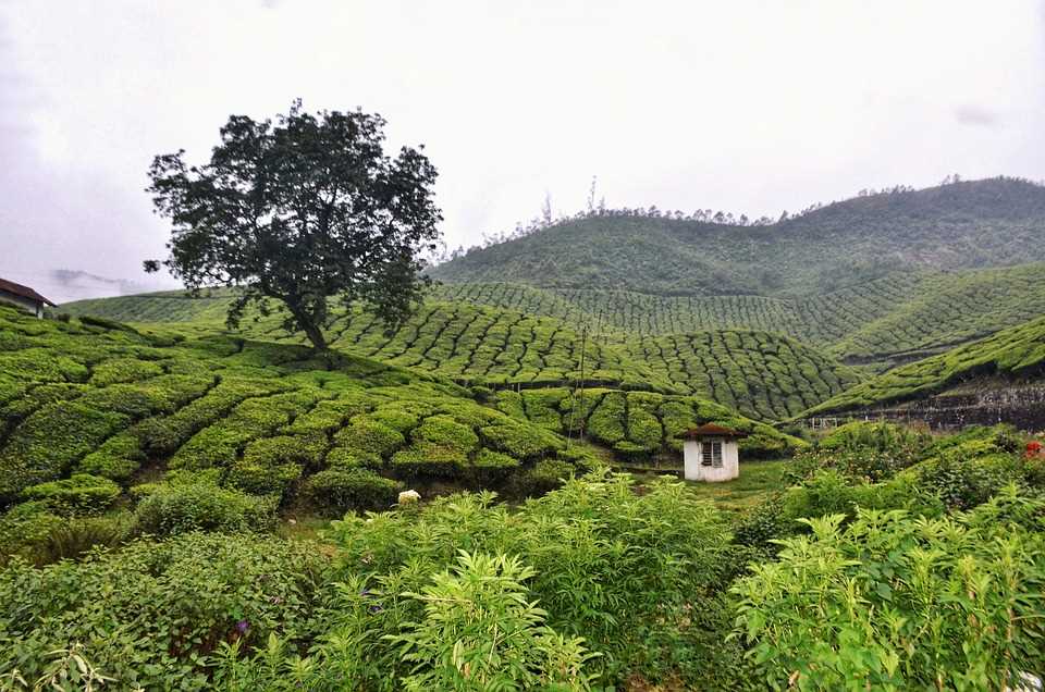 Kerala backwaters tour