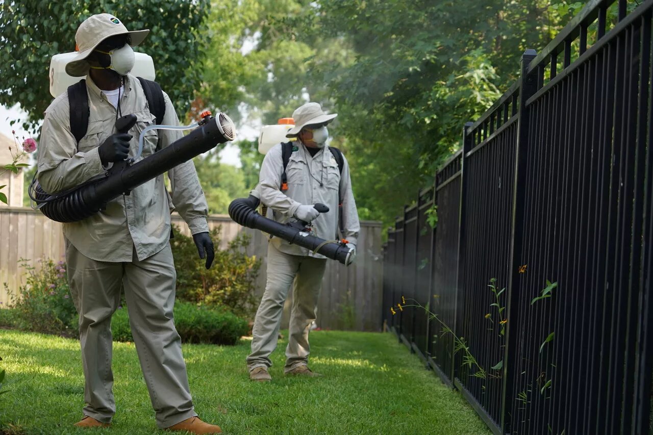 Mosquito Control Near Me