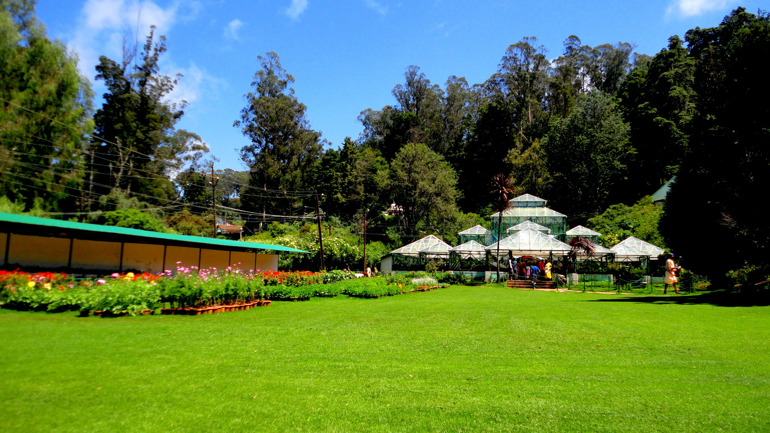 ooty tour packages