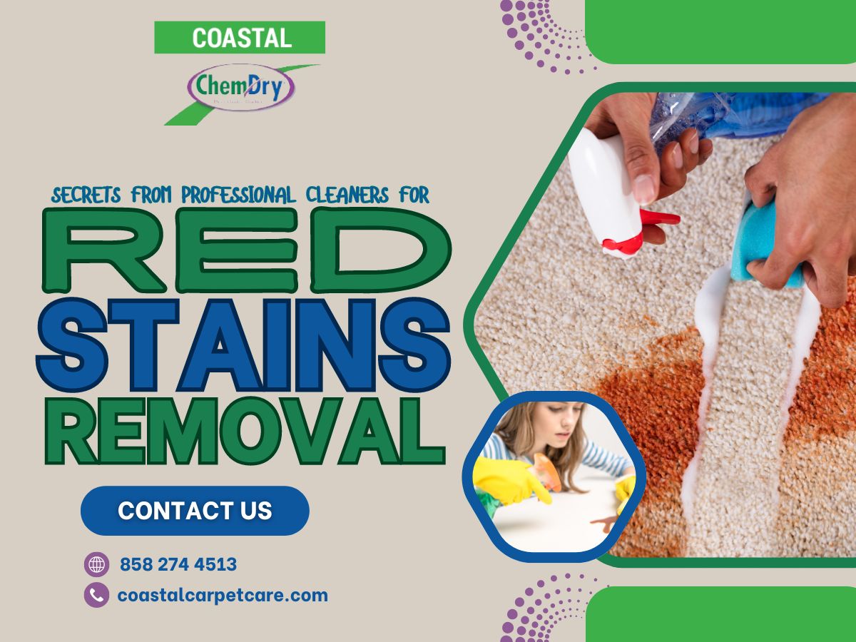 https://coastalcarpetcare.com/