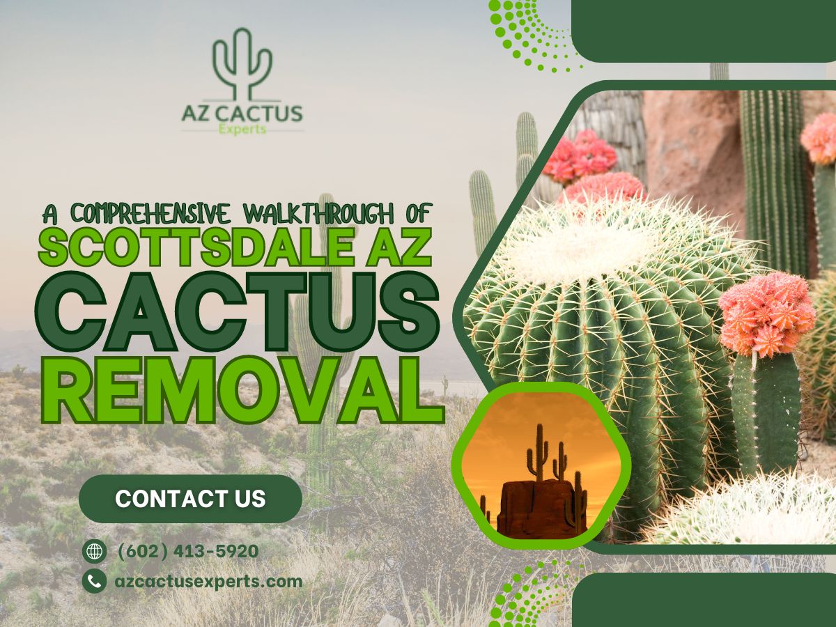 https://azcactusexperts.com/