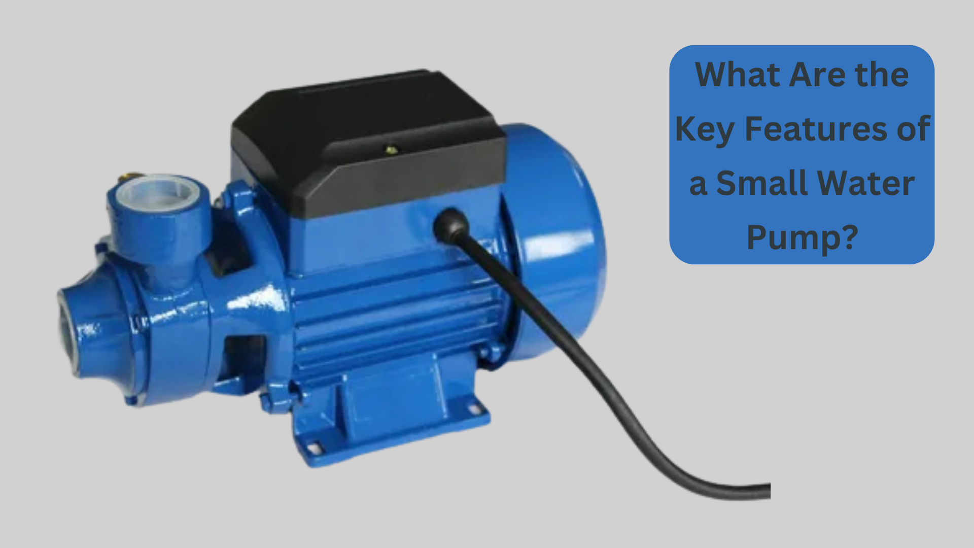 What Are the Key Features of a Small Water Pump