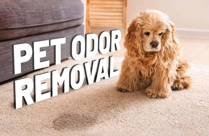 Pet Odor Removal