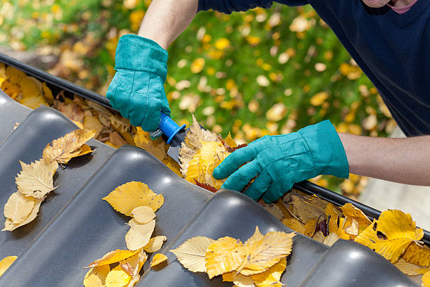 Gutter Cleaning Services