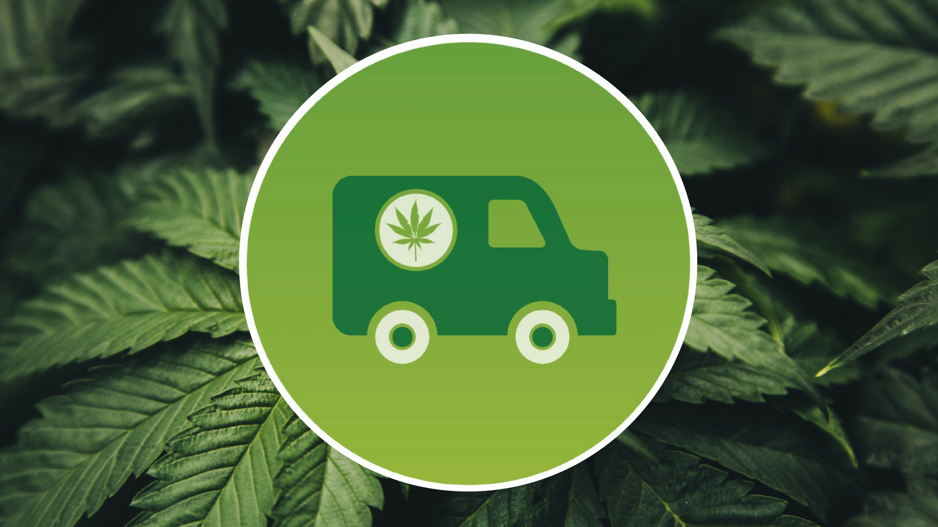 How To Start A Cannabis Delivery Service?