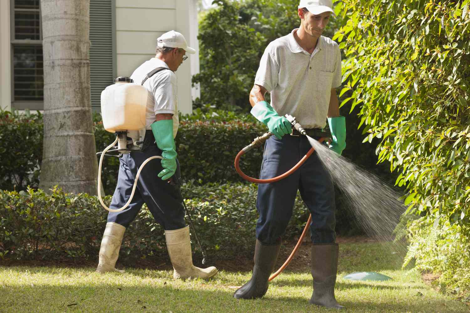 Pest Exterminator Near Me and Guide Fumigation In Lahore