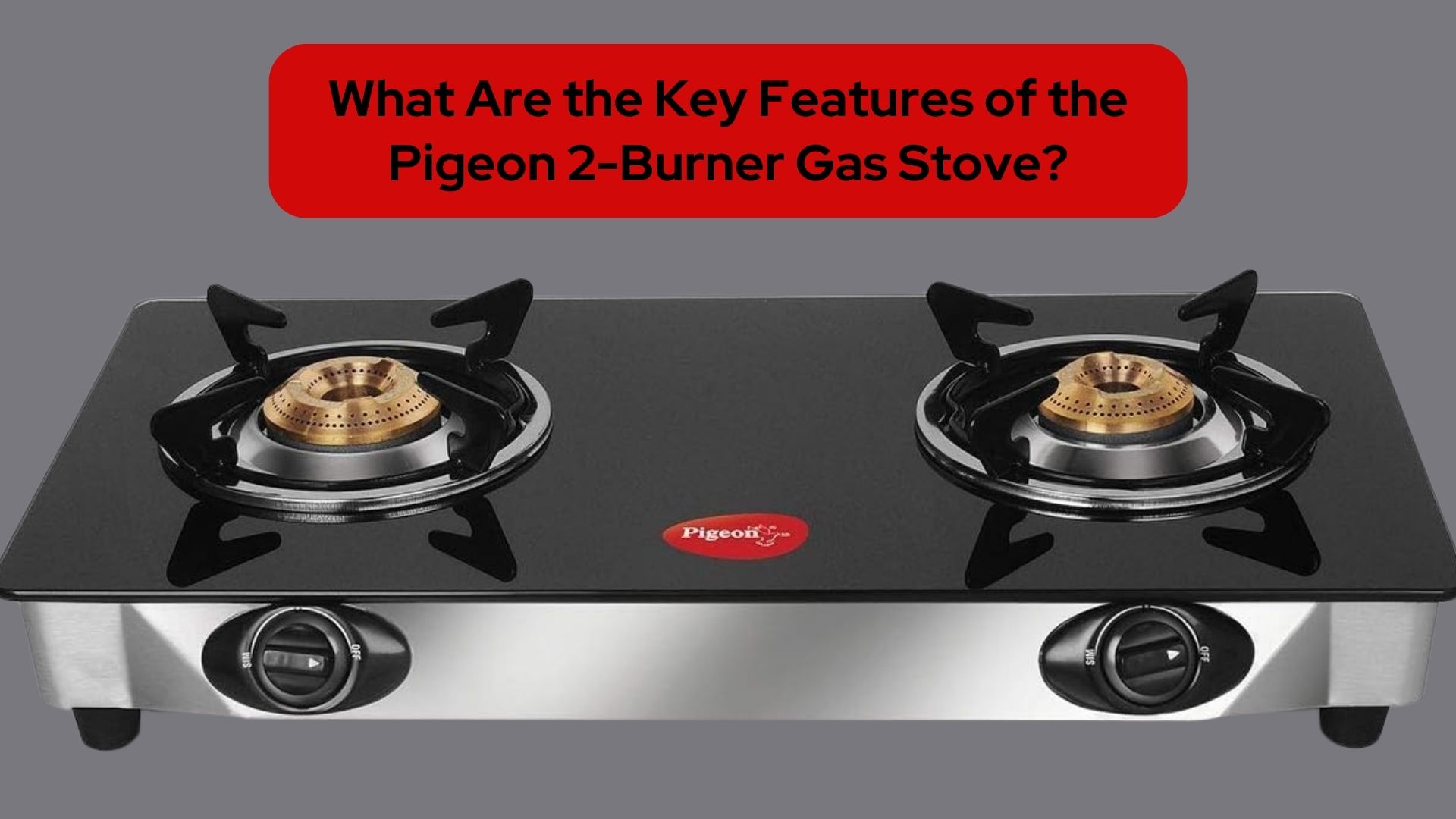 What Are the Key Features of the Pigeon 2-Burner Gas Stove