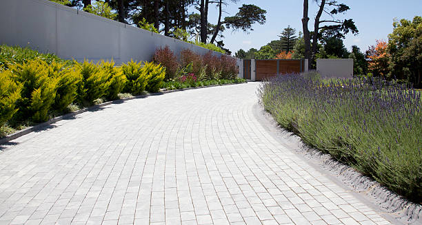 driveway landscaping