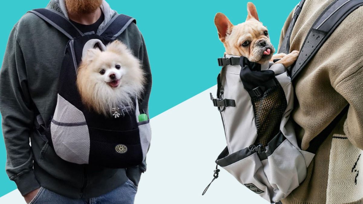 pet carrier