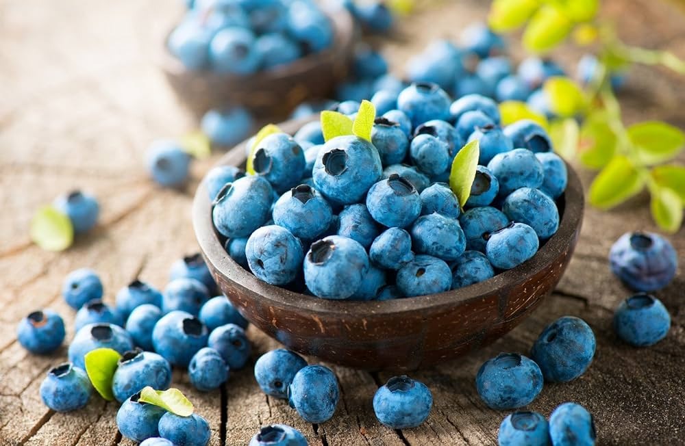 Blueberry Processing Plant