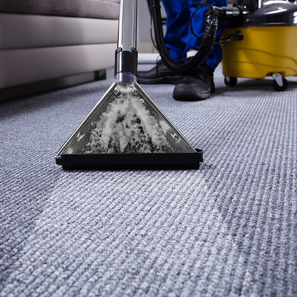 The Cost of Carpet Cleaning in Cheltenham: What You Need to Know