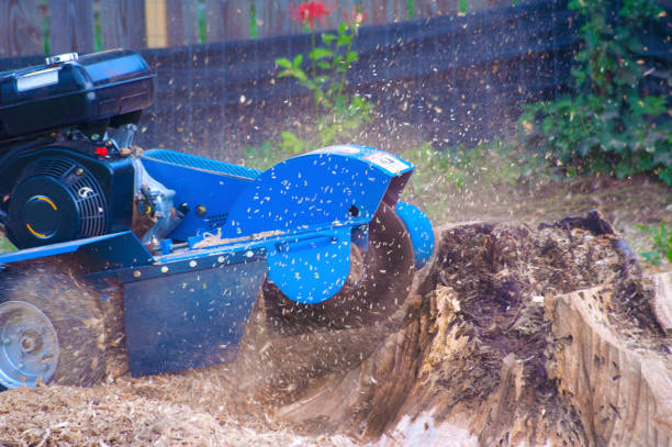 Stump Grinding Service