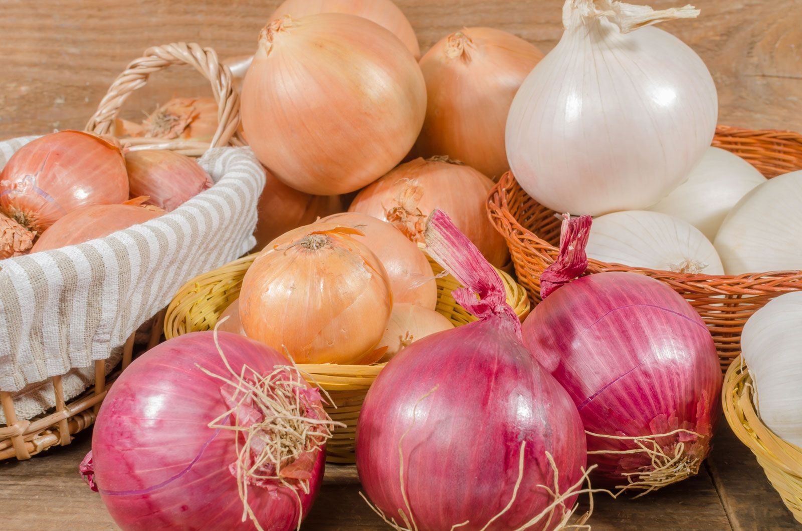 Onion Processing Plant