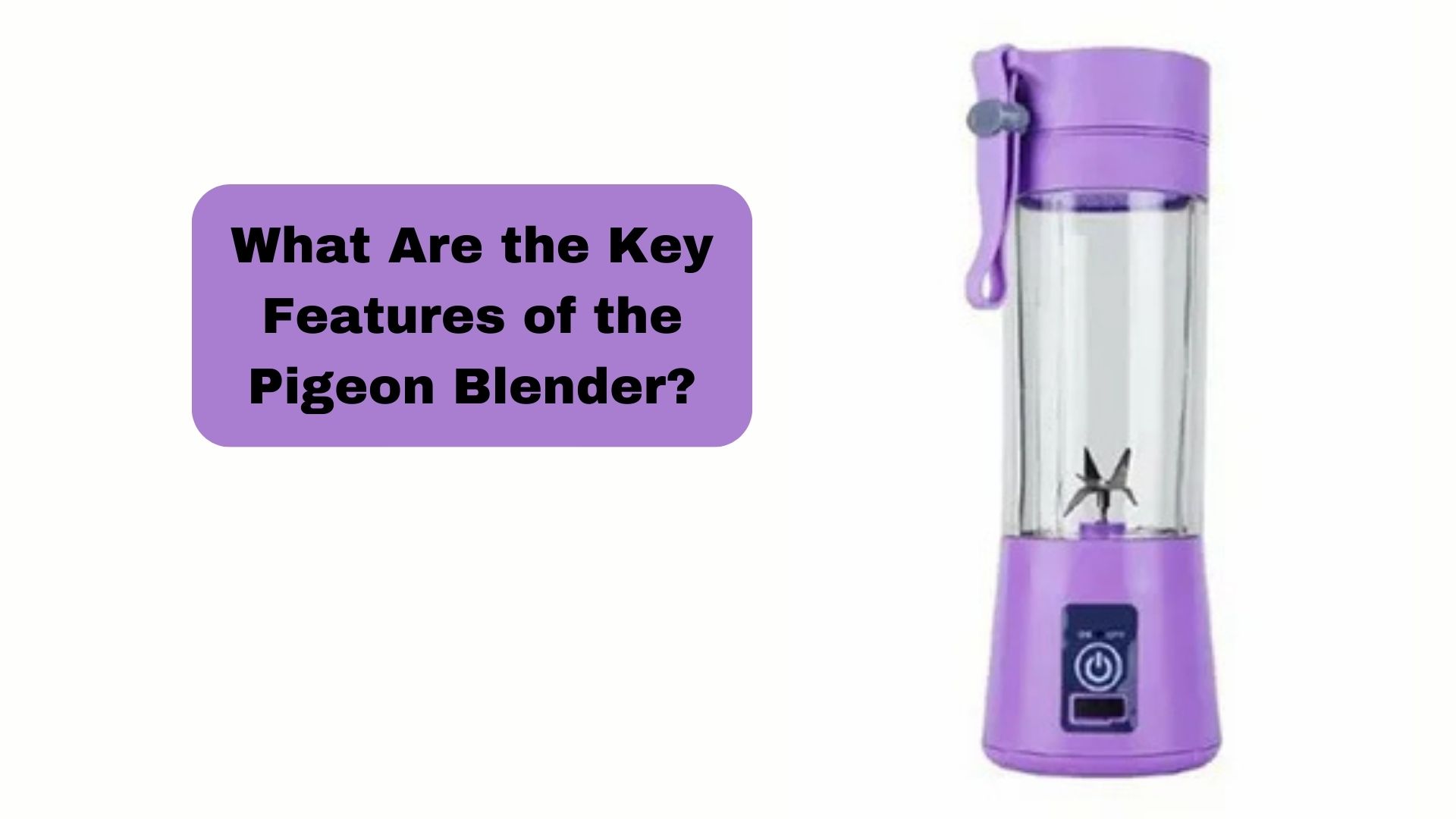 What Are the Key Features of the Pigeon Blender