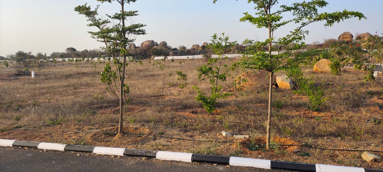 Open Plots in Guntur