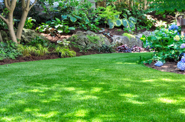 Lawn and Landscaping