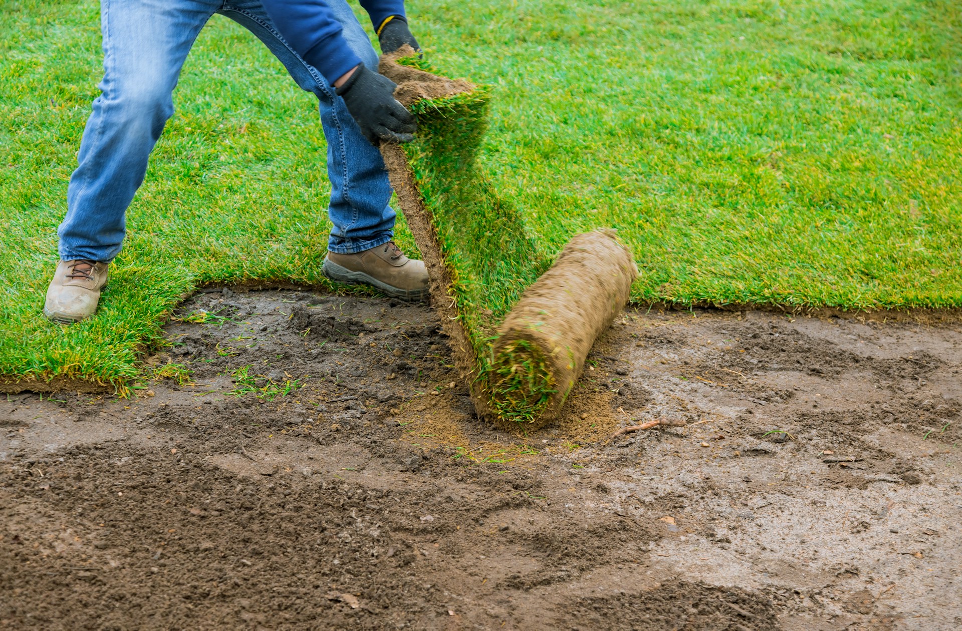 How to Install Sod on a New Construction Site