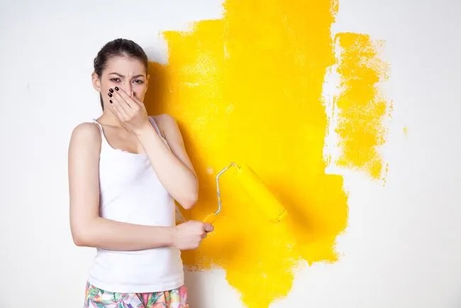 How To Eliminate Paint Odor In A Room