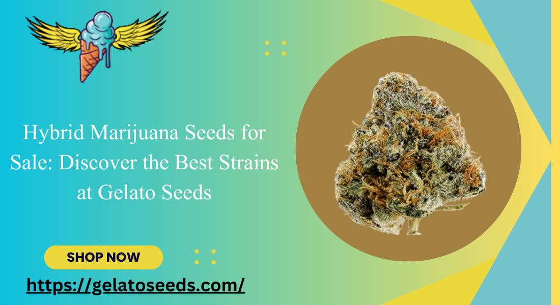 hybrid marijuana seeds for sale