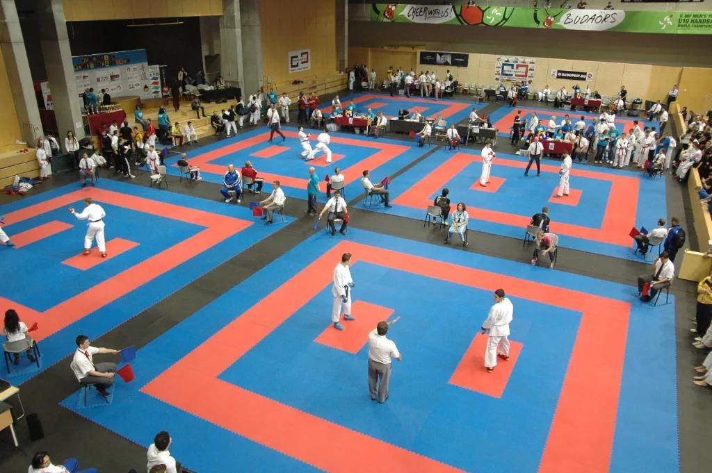 Karate Classes for Kids in Dubai