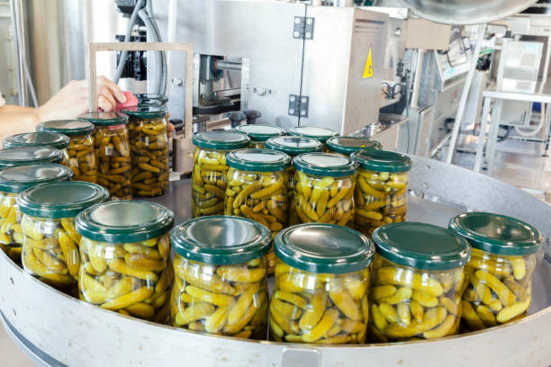 Pickles Manufacturing Plant