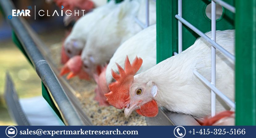 Poultry Market