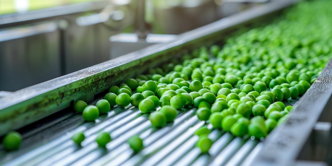 Green Pea Processing Plant
