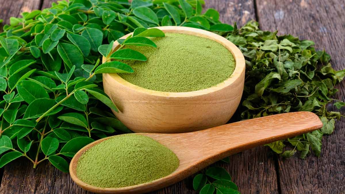 Moringa Processing Plant