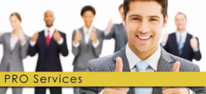 pro service