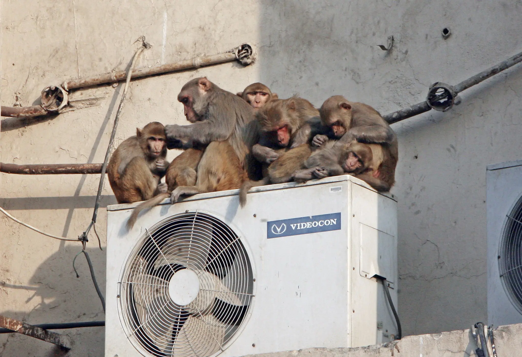 HVAC