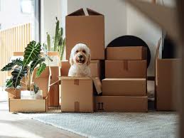 Moving House