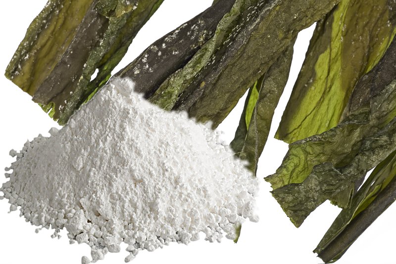 Potassium Alginate Manufacturing Plant