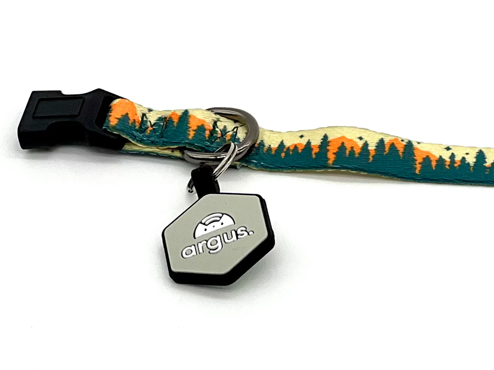 Lost Pet Recovery Tags