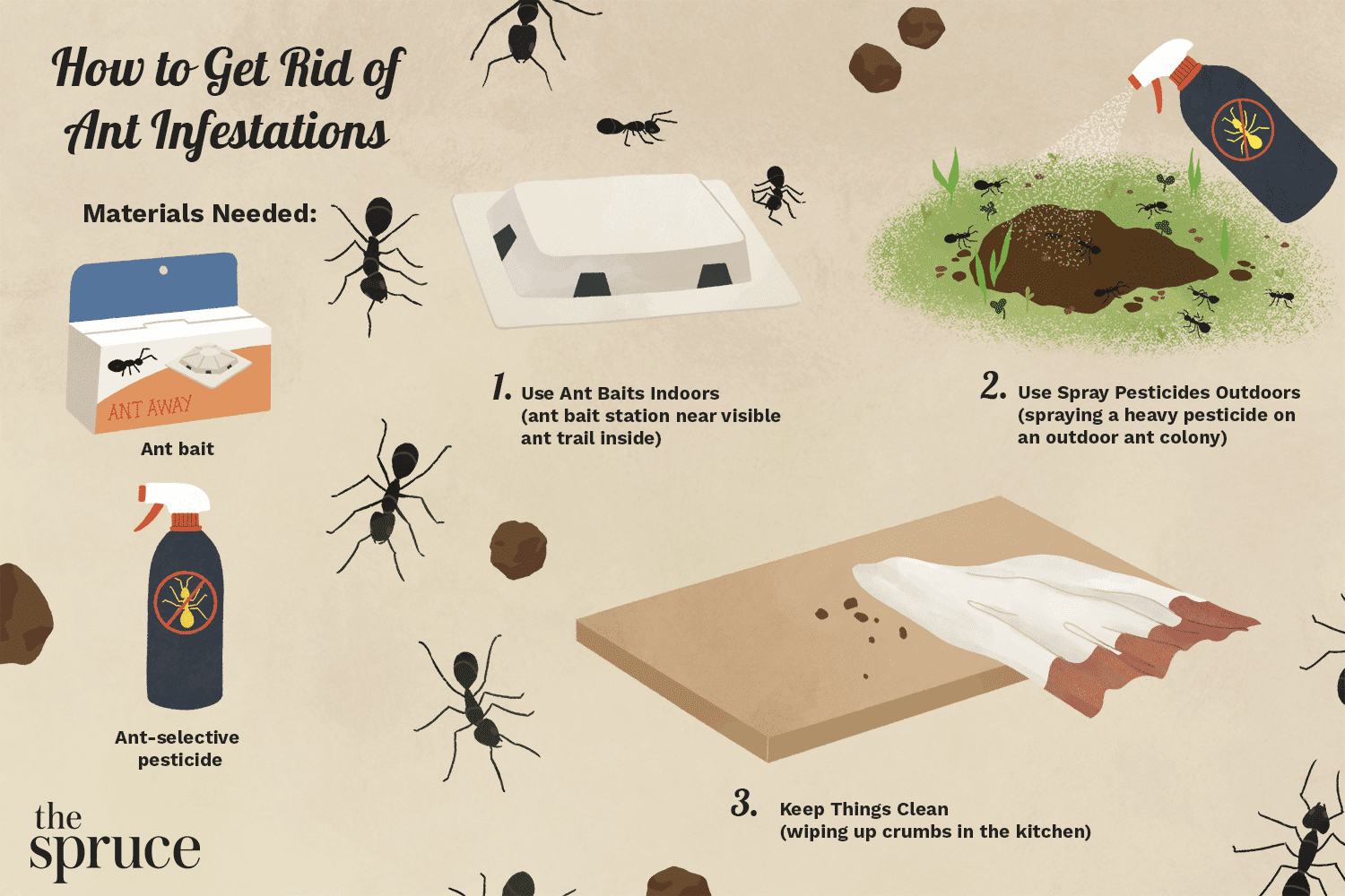Get Rid of Ants in Your House