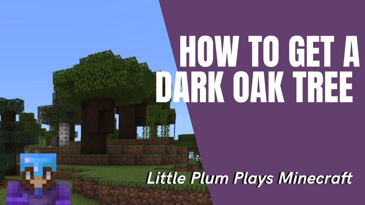 Dark Oak Tree in Minecraft